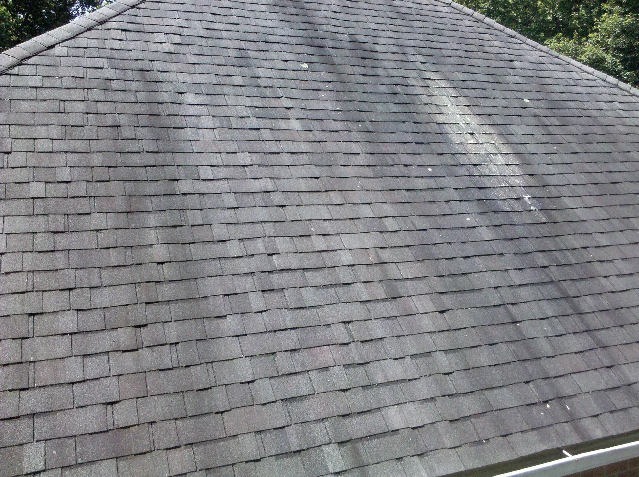 Dark algae streaks running down the shaded slope of a Knoxville asphalt shingle roof