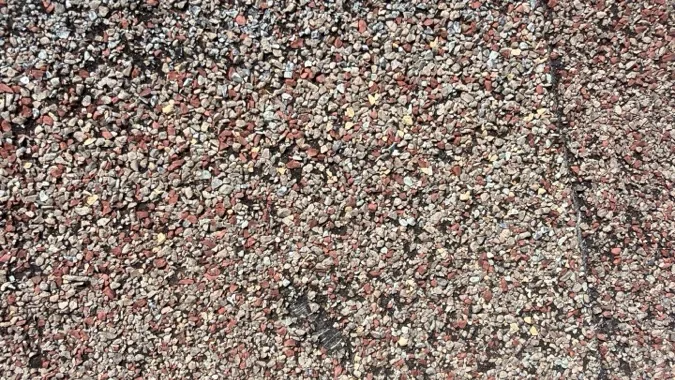 Close-up of the mineral granules on an asphalt shingle