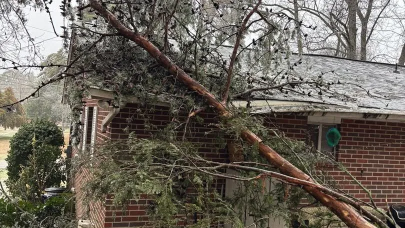 Tree fallen across a brick home's roof after a storm