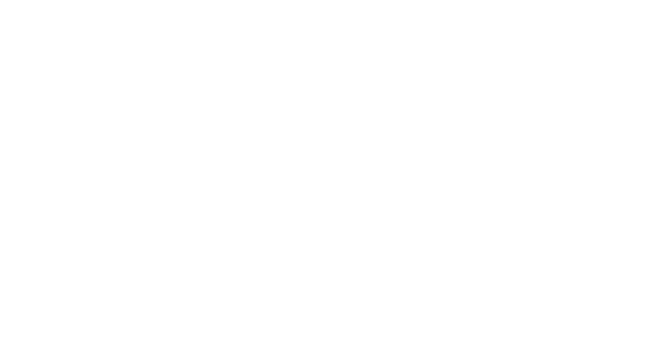 Valor Roofing